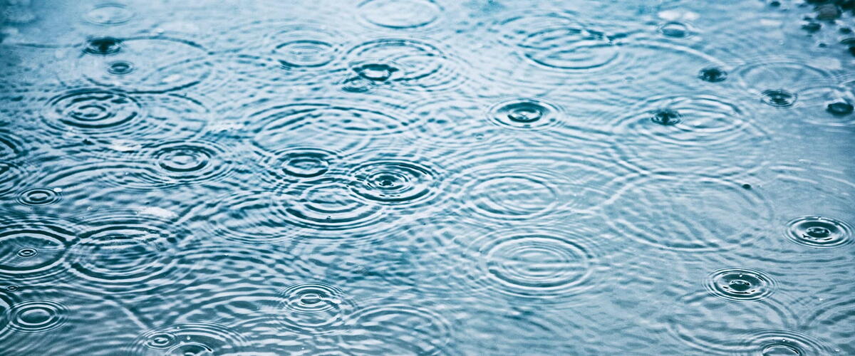 rain water droplets